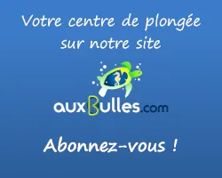 Abonnez-vous maintenant à notre annuaire !