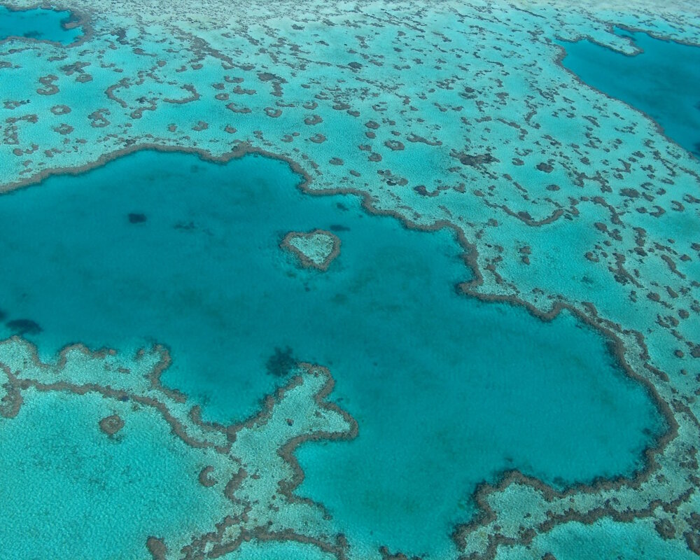 Une vue aérienne sur le récif corallien emblématique de Heart Reef au coeur de la Grande Barrière de Corail en Australie