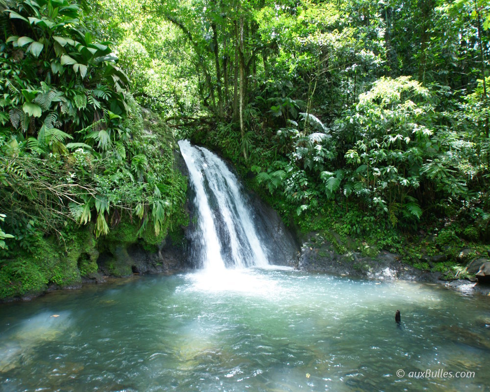La Cascade aux Écrevisses est située sur la Route de la Traversée au cœur d'une végétation tropicale luxuriante
