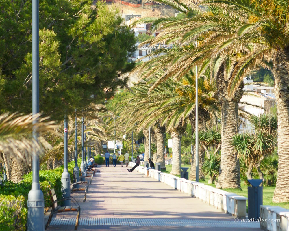 The palm-lined promenade along L'Estartit beach offers a pleasant walk facing the sea and the Medes islands