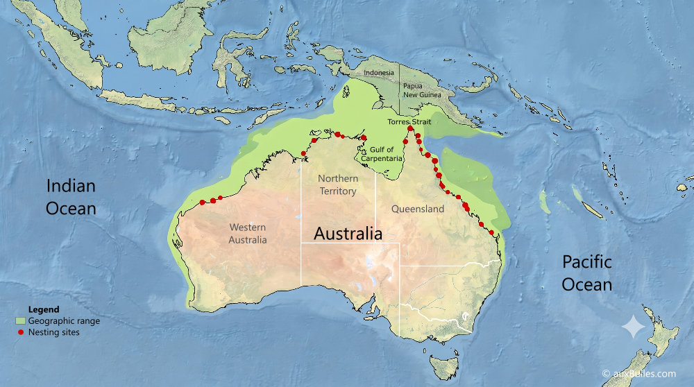 Geographic range and major nesting sites of the flatback sea turtle (Natator depressus)