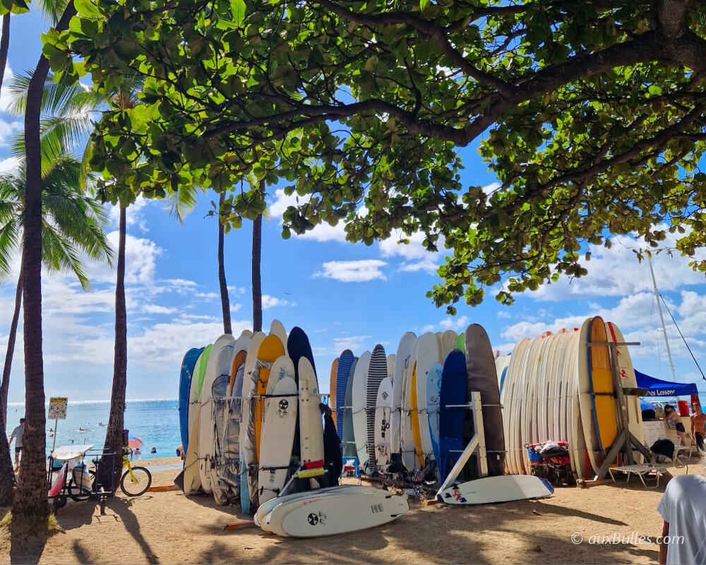 A colorful lineup of surfboards waiting for the next wave