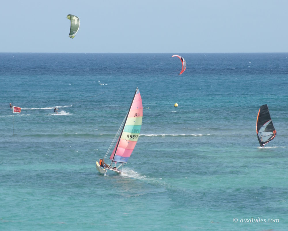 Activités nautiques dans le lagon de Saint-François en Guadeloupe, où kitesurf, planche à voile et catamaran profitent des vents réguliers