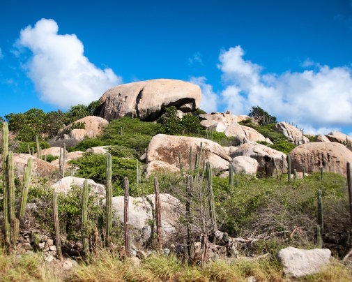 Formations rocheuses d'Ayo entourées de cactus au cœur du paysage aride d'Aruba Formations rocheuses d'Ayo entourées de cactus au cœur du paysage aride d'Aruba