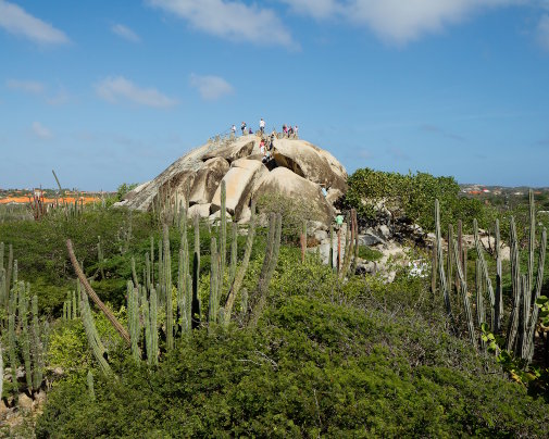 Vue sur les formations rocheuses de Casibari entourées de cactus, à Aruba Vue sur les formations rocheuses de Casibari entourées de cactus, à Aruba