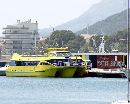 The glass-bottom catamaran allows you to discover the seabed of the Medes islands without diving, departing from L'Estartit