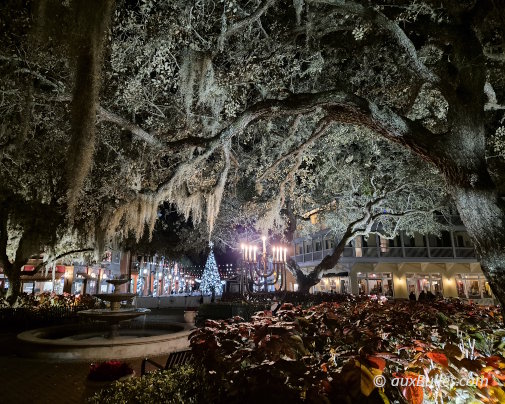 Les illuminations de Noël dans la ville de Celebration en Floride