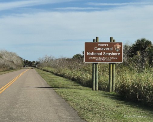 Canaveral National Seashore, a vast protected area bordering the ocean