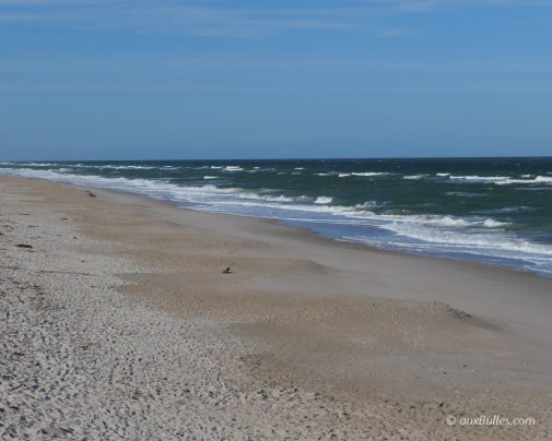 Playalinda Beach, one of Florida's last remaining wild beaches
