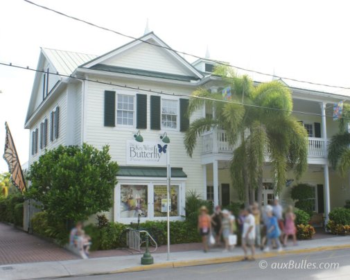 The tropical butterflies at the Key West Butterfly and Nature Conservatory will delight both young and old alike !