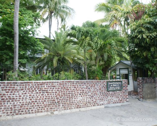 Ernest Hemingway's former colonial villa can be seen behind the lush vegetation !