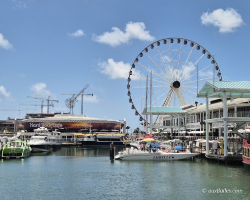Le port de plaisance animé 'Miamarina At Bayside' et le célèbre restaurant 'Hard Rock Cafe' en toile de fond