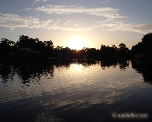 In the summer, you have to wake up at dawn to increase your chances of swimming with the manatees !