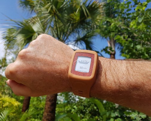 The water park Volcano Bay introduced TapuTapu, a wearable virtual queue system