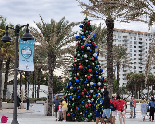 Le majestueux sapin de Noël se dresse au carrefour de Las Olas et Beach Boulevard à Fort Lauderdale