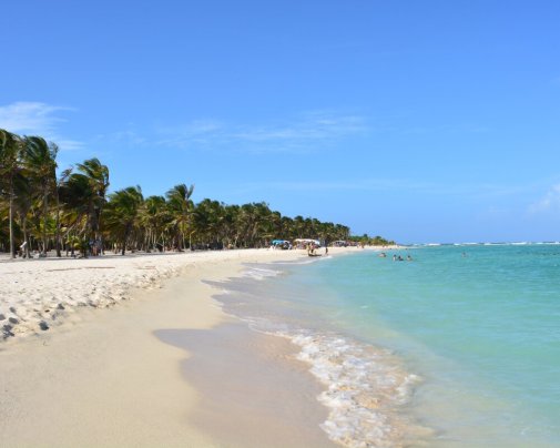 White-sand beach lined with palm trees and turquoise waters on Cayo Sombrero in Morrocoy National Park, Venezuela