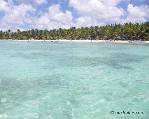Les eaux turquoise de l'île de Saona avec en fond les plages de sable blanc bordées de cocotiers