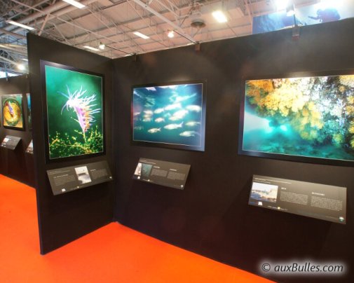 Une exposition de photos fait découvrir aux visiteurs la splendeur des fonds marins et la richesse de la faune marine