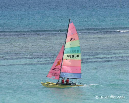 Pratique de la voile en catamaran dans les eaux turquoise du lagon de Saint-François, en Guadeloupe