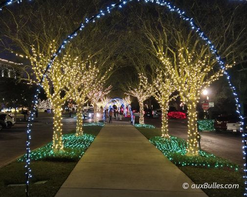 La rue de Plant Street à Winter Garden se pare d'une multitude de guirlandes et de décorations lumineuses