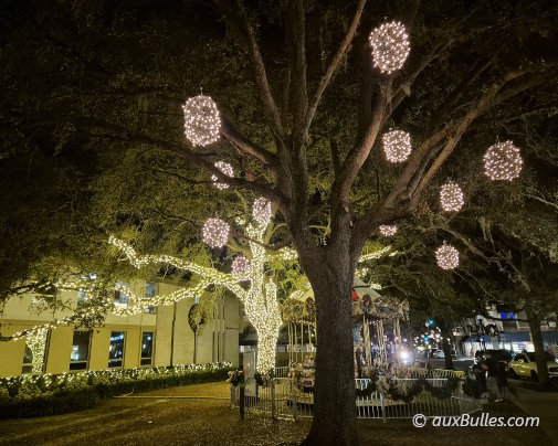A Winter Park, pendant la période de Noël, Park Avenue se pare de guirlandes lumineuses, de couronnes décoratives et de milliers de petites lumières