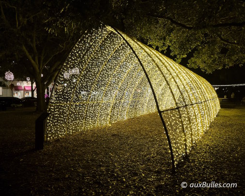 A Winter Park, durant la période de Noël, Central Park se pare de nombreuses illuminations, avec notamment un tunnel qui brille de mille feux