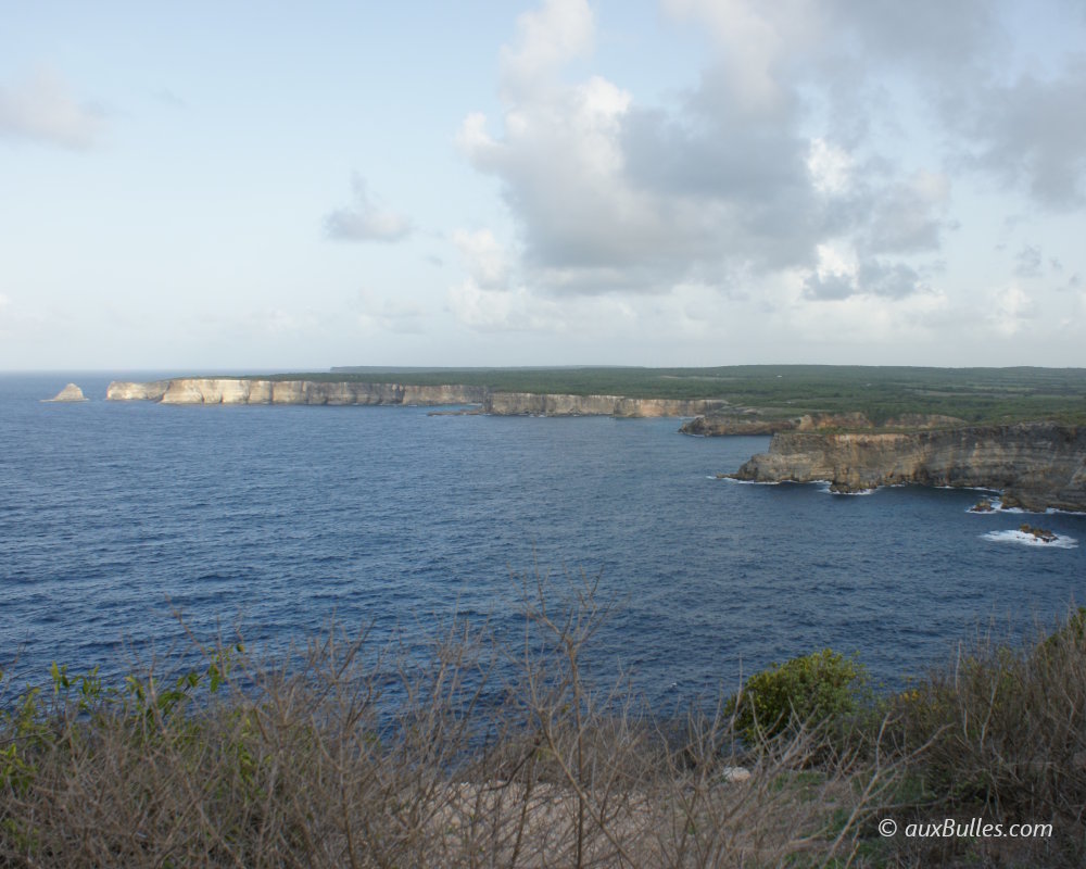 Vue panoramique depuis la Pointe de la Grande Vigie à Anse-Bertrand, où les falaises de calcaire dominent l'océan Atlantique sur la côte nord de Guadeloupe