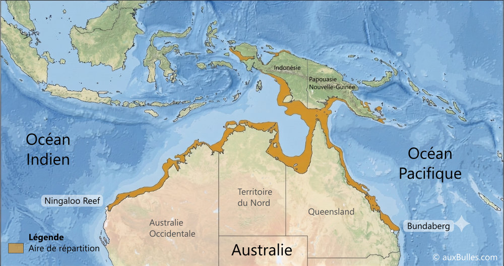 Répartition géographique du requin tapis barbu (Eucrossorhinus dasypogon)