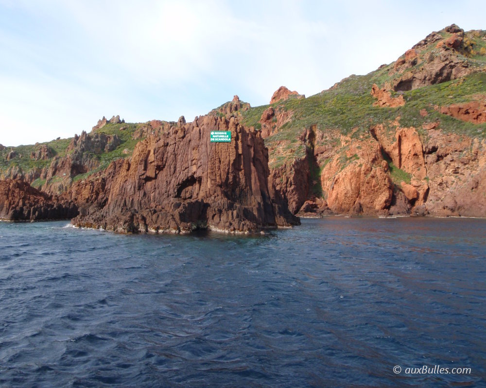 Bathed in translucent waters, the red cliffs of the Scandola Nature Reserve offer the dusky grouper a natural refuge