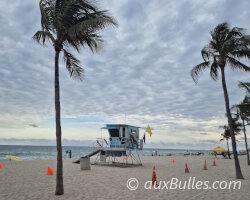 Fort Lauderdale, the Venice of America Fort Lauderdale, the Venice of America