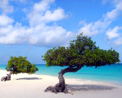 Aruba island