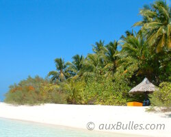 Les îles Maldives