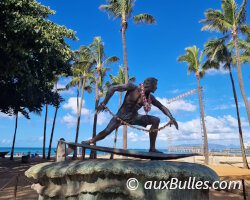 The Hawaiian archipelago